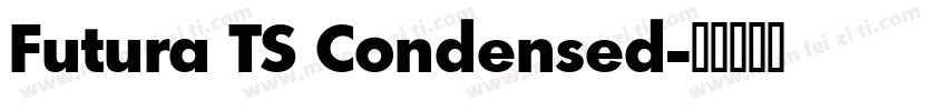 Futura TS Condensed字体转换
